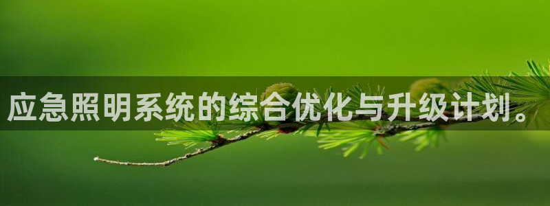 应急照明系统的综合优化与升级计划。