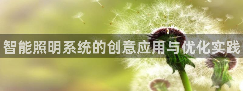 智能照明系统的创意应用与优化实践