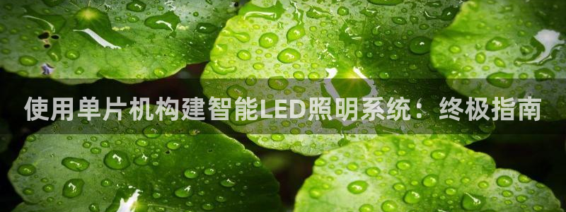 使用单片机构建智能LED照明系统：终极指南