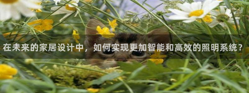 在未来的家居设计中，如何实现更加智能和高