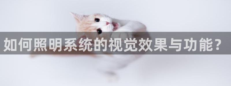 如何照明系统的视觉效果与功能？