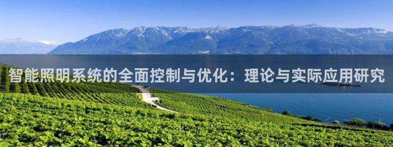 智能照明系统的全面控制与优化：理论与实际应用研究