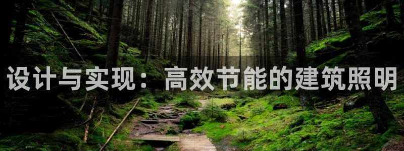 设计与实现：高效节能的建筑照明