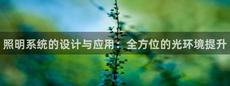 照明系统的设计与应用：全方位的光环境提升