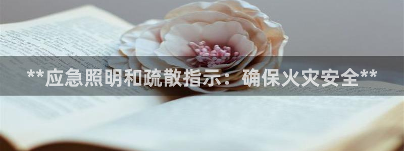**应急照明和疏散指示：确保火灾安全**