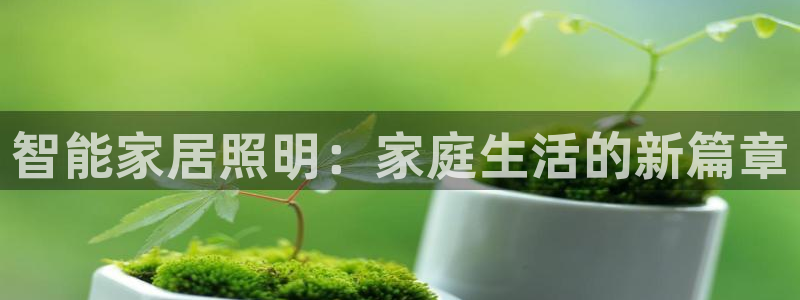 智能家居照明：家庭生活的新篇章