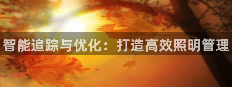 智能追踪与优化：打造高效照明管理