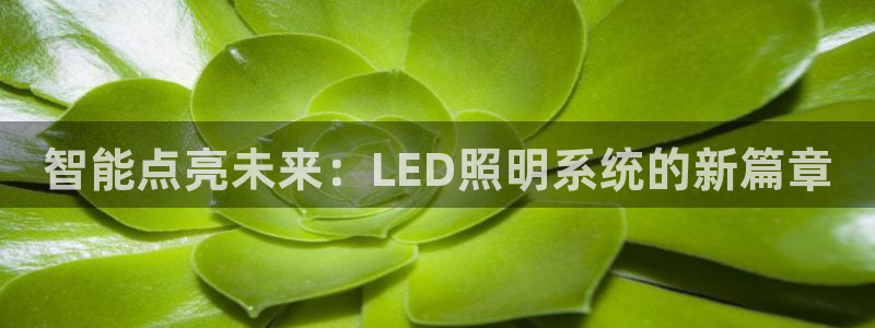 智能点亮未来：LED照明系统的新篇章