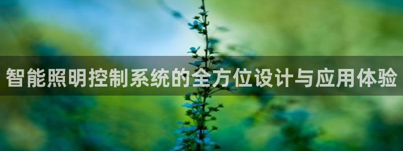 智能照明控制系统的全方位设计与应用体验