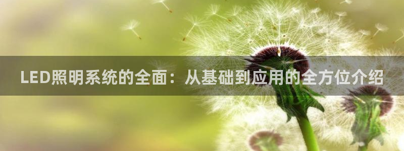 LED照明系统的全面：从基础到应用的全方