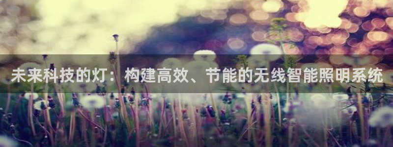 未来科技的灯：构建高效、节能的无线智能照