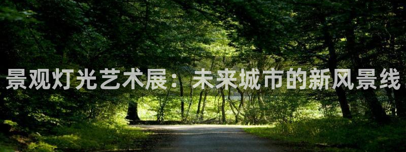 景观灯光艺术展：未来城市的新风景线