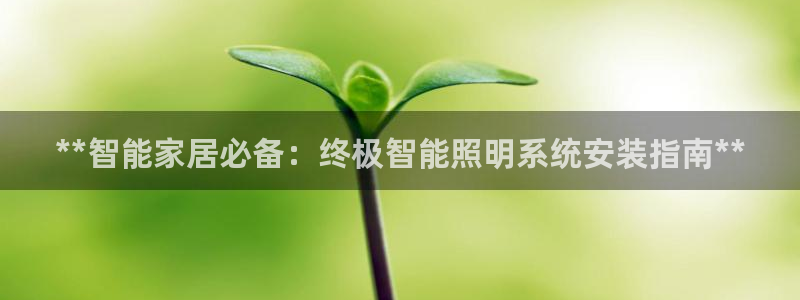**智能家居必备：终极智能照明系统安装指